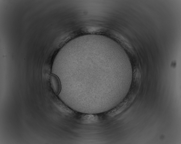 X0000101160421200807181403