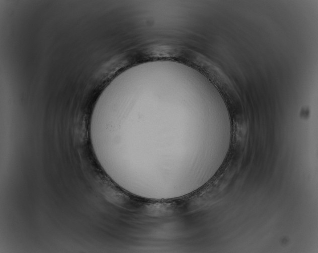X0000101160422200807181403