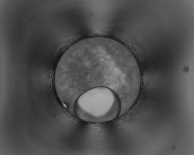 X0000101160423200807181403