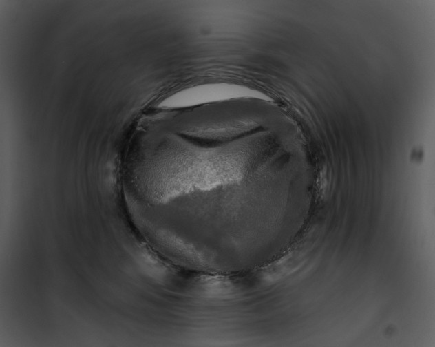 X0000101160424200807181403
