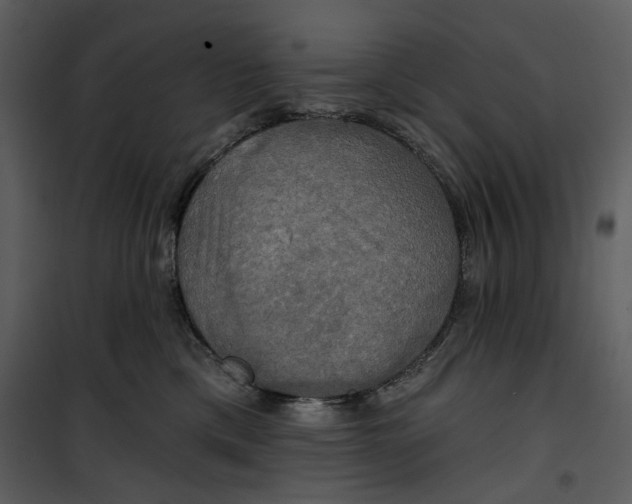 X0000101160425200807181403