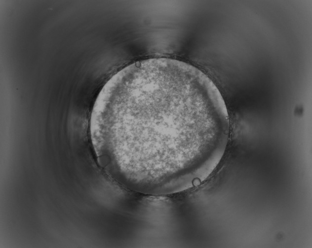 X0000101160427200807181403