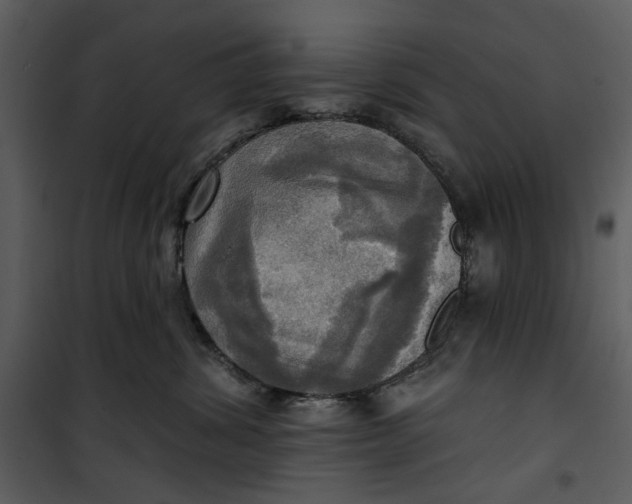 X0000101160428200807181403