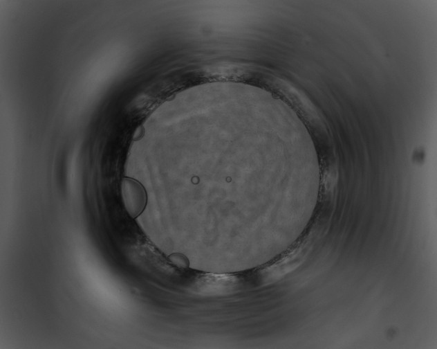 X0000101160429200807181403