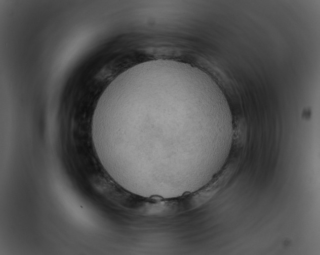 X0000101160430200807181403