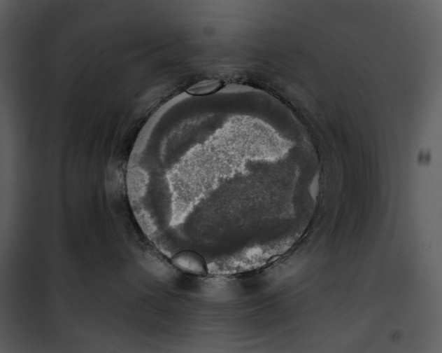X0000101160432200807181403