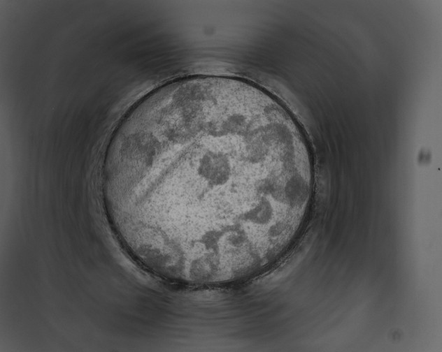 X0000101160433200807181402
