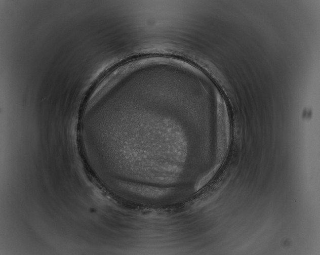 X0000101160434200807181402