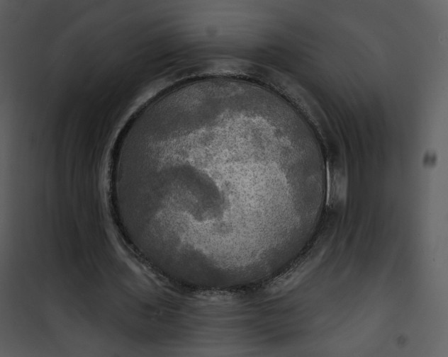 X0000101160435200807181402