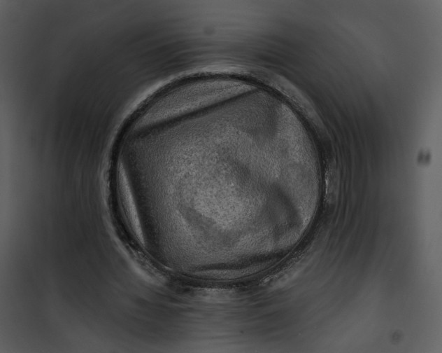 X0000101160436200807181402