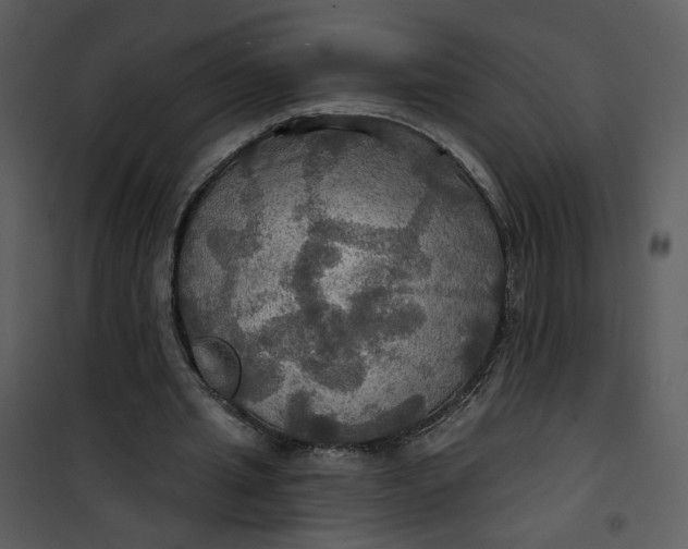 X0000101160437200807181402