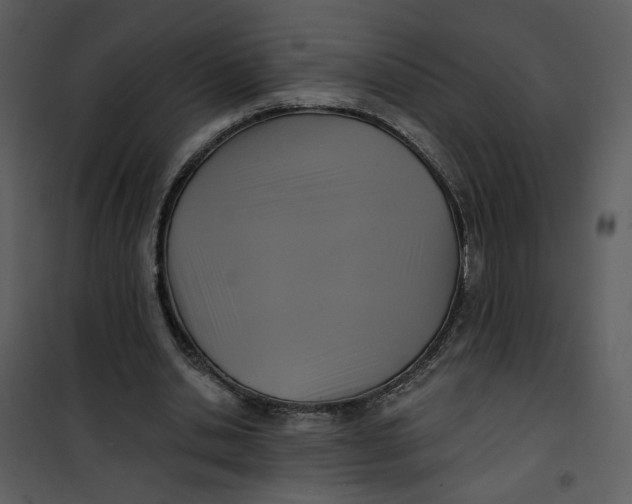 X0000101160438200807181402