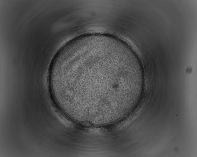 X0000101160439200807181402