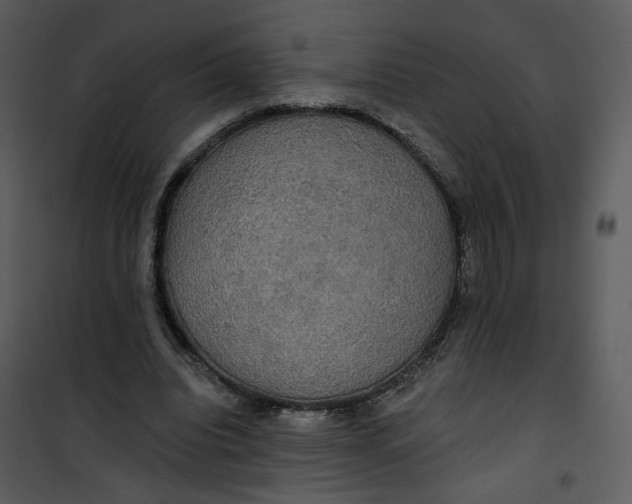 X0000101160440200807181403