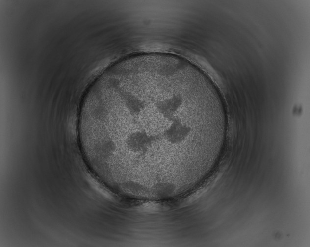 X0000101160441200807181403