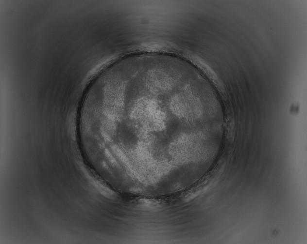 X0000101160442200807181403