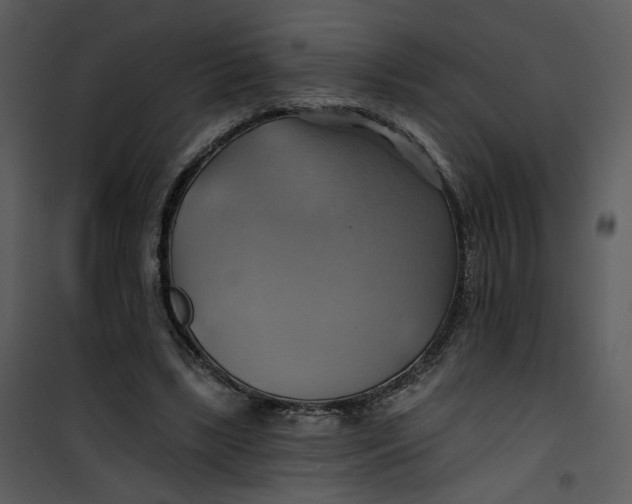 X0000101160443200807181403