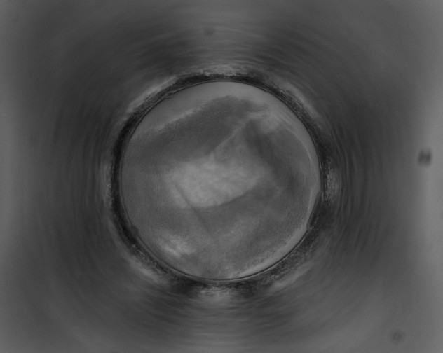 X0000101160444200807181403