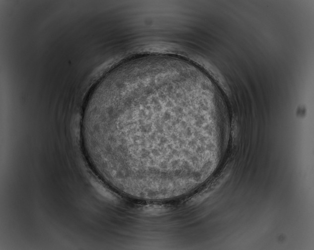 X0000101160445200807181403