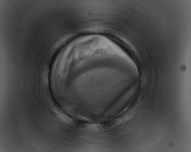 X0000101160446200807181403
