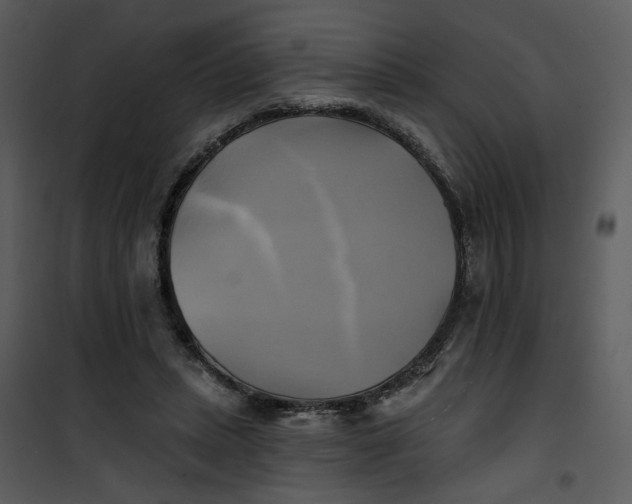 X0000101160447200807181403
