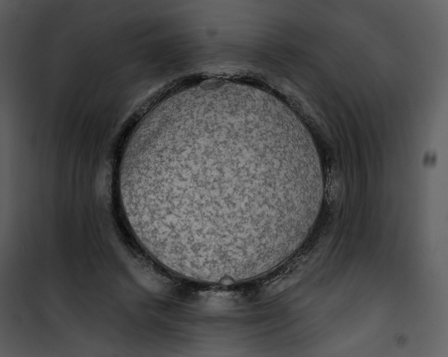 X0000101160448200807181403