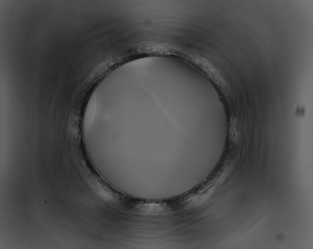 X0000101160449200807181403