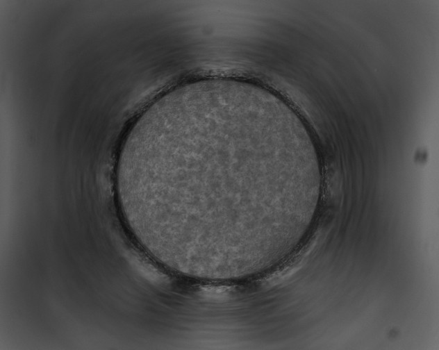 X0000101160450200807181403