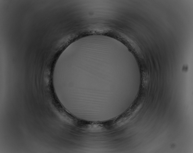 X0000101160451200807181403