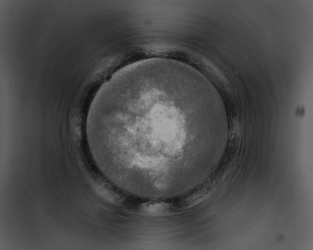 X0000101160452200807181403