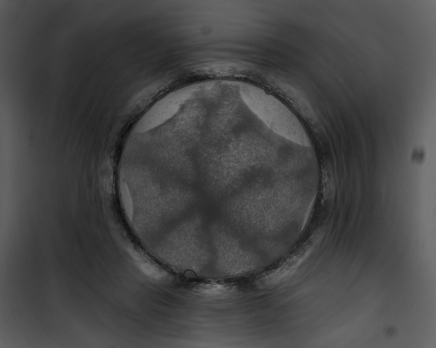 X0000101160453200807181403