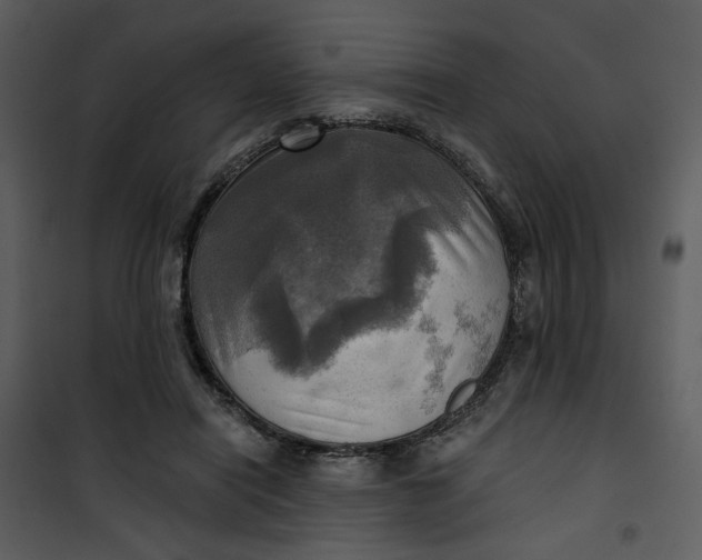 X0000101160454200807181403