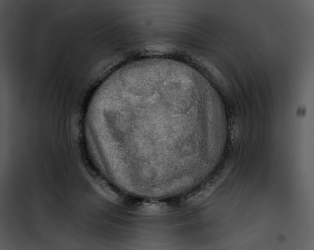 X0000101160455200807181403