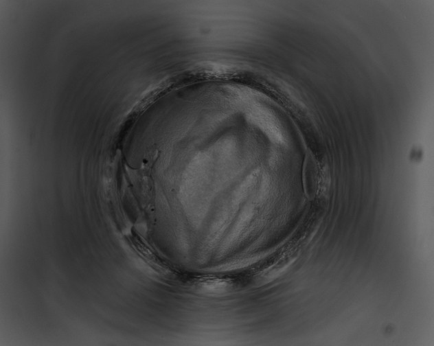 X0000101160456200807181403