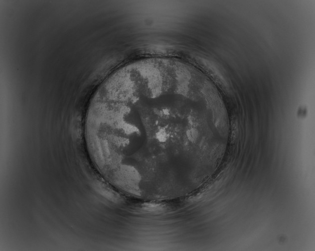 X0000101160457200807181403