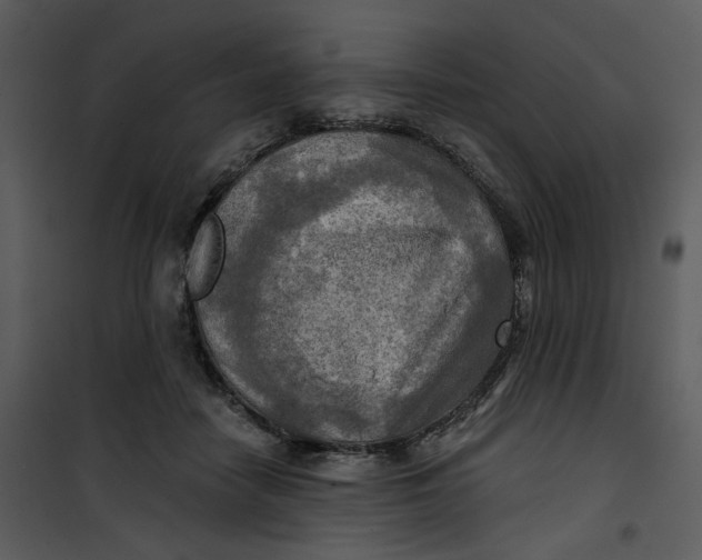 X0000101160458200807181403
