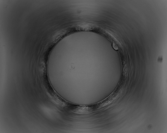 X0000101160459200807181403