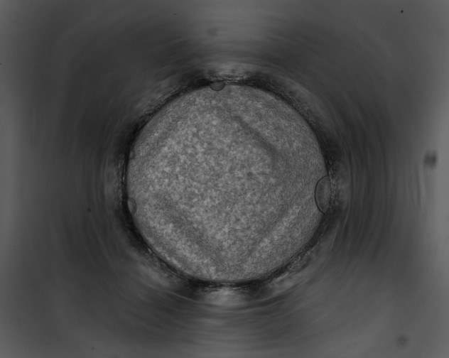 X0000101160460200807181403