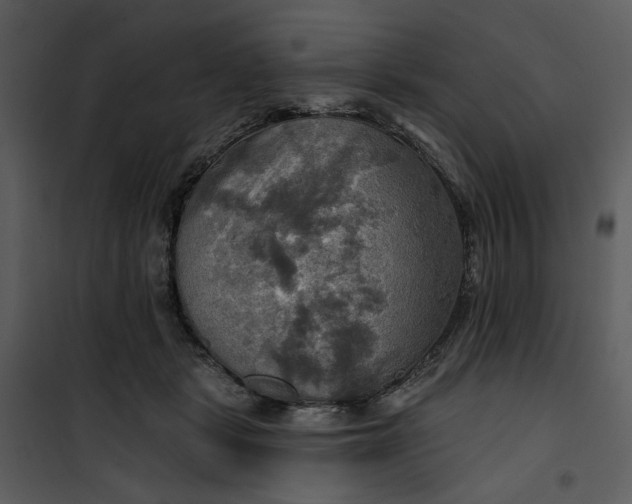 X0000101160461200807181403