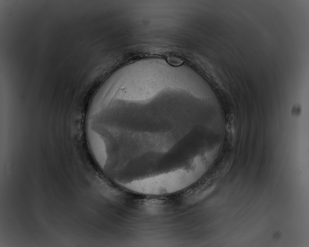 X0000101160462200807181403