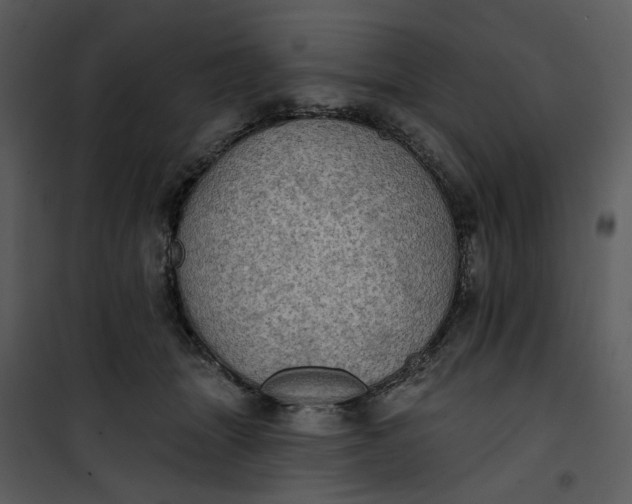 X0000101160463200807181403