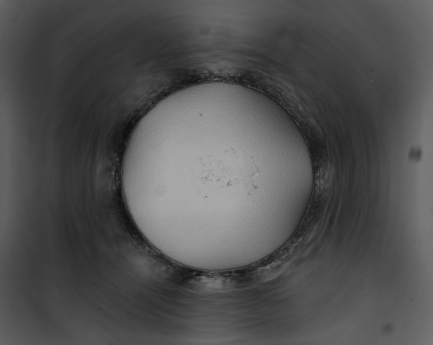 X0000101160464200807181403