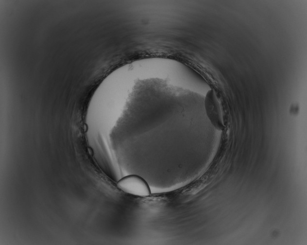 X0000101160465200807181403