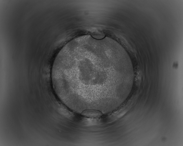 X0000101160466200807181403