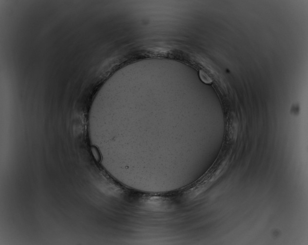 X0000101160467200807181403