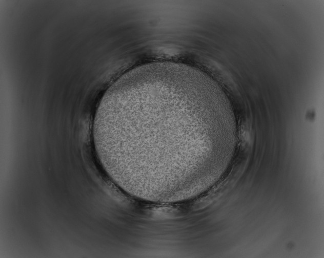 X0000101160468200807181403