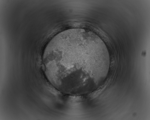 X0000101160469200807181403
