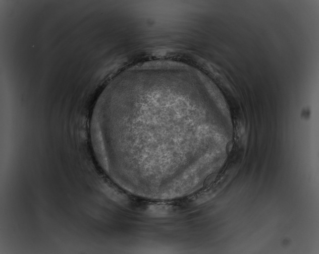 X0000101160470200807181403