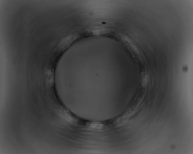 X0000101160471200807181403