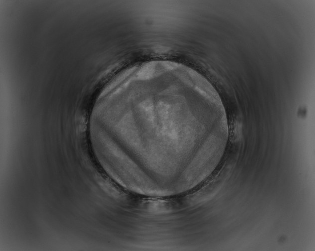 X0000101160472200807181403